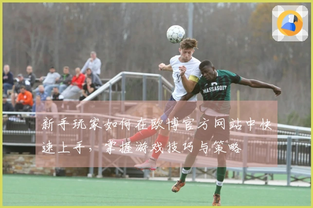 新手玩家如何在欧博官方网站中快速上手，掌握游戏技巧与策略